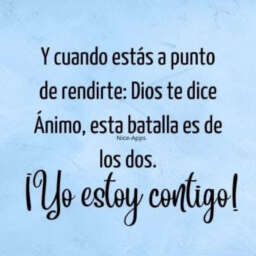 452a2b5b1b1a9cb1e5aacbc1be80dfca.jpg