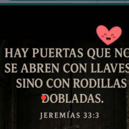5ead6974218cae9353581ee148c2a9df.jpg