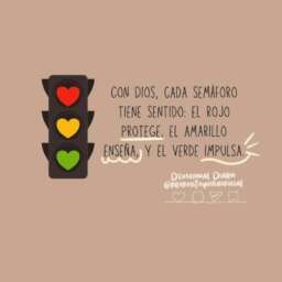 8e9d6b0d2eeae6afa4a47820a0f8a902.jpg