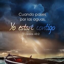 Avatar Xinia Cedeño